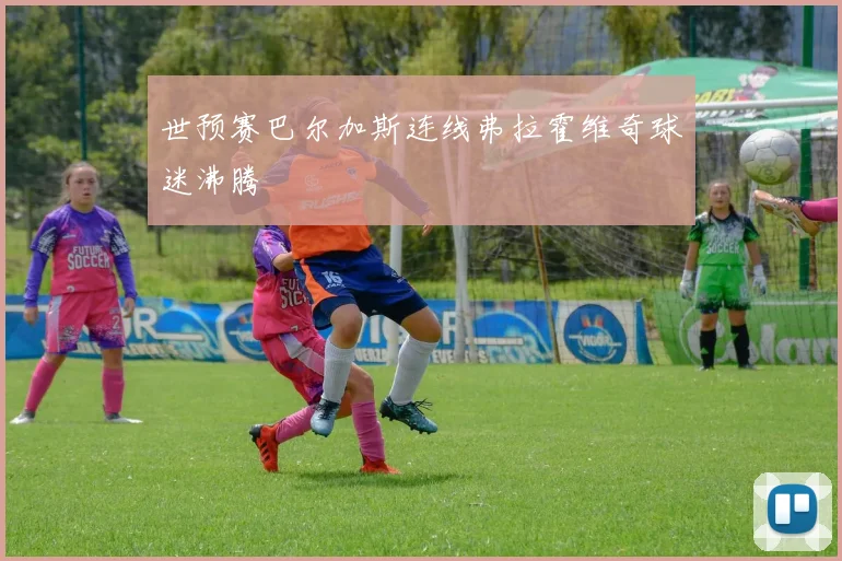 世预赛巴尔加斯连线弗拉霍维奇球迷沸腾