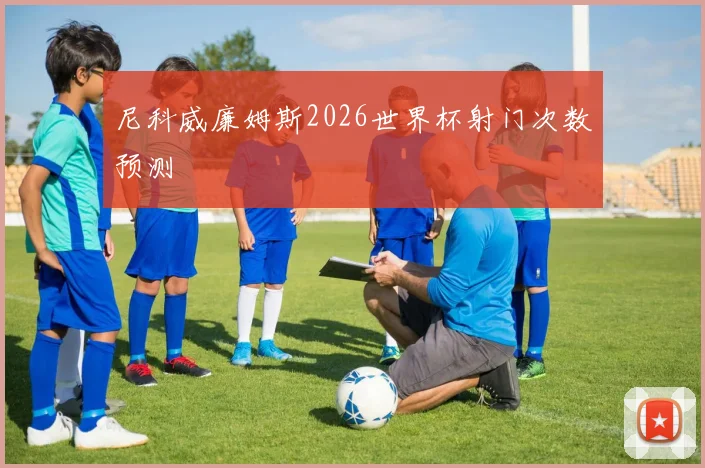 尼科威廉姆斯2026世界杯射门次数预测