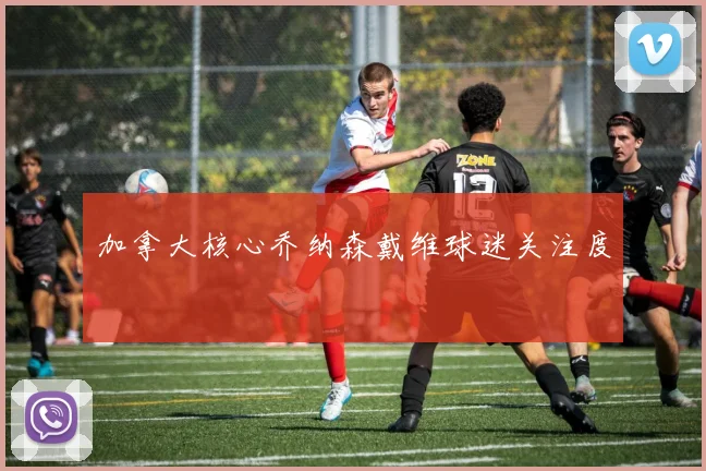 加拿大核心乔纳森戴维球迷关注度
