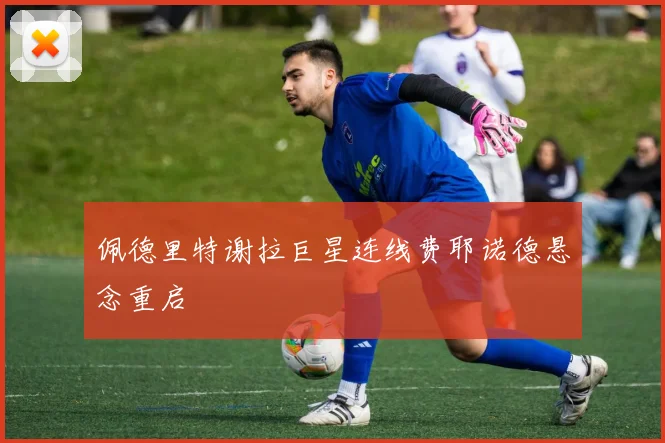 佩德里特谢拉巨星连线费耶诺德悬念重启