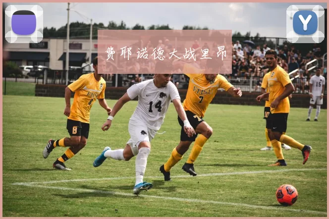 费耶诺德大战里昂