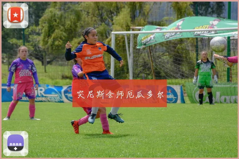 突尼斯会师厄瓜多尔