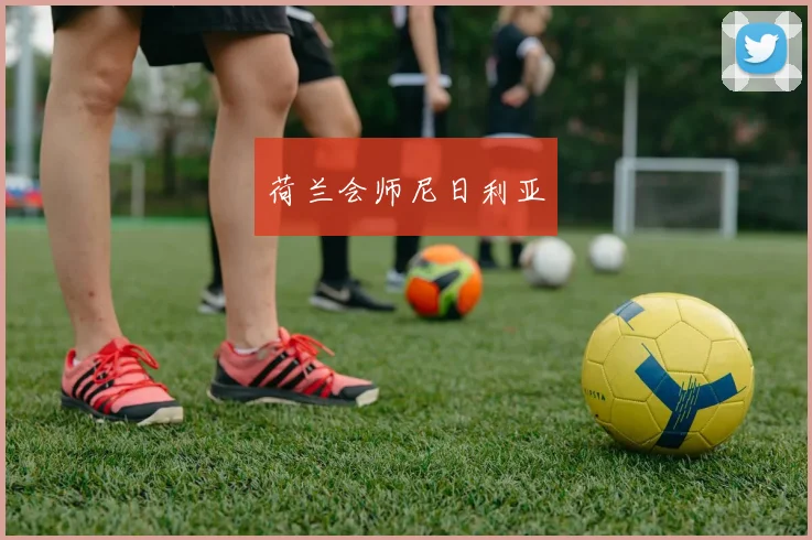 荷兰会师尼日利亚