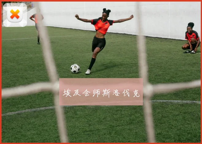埃及会师斯洛伐克