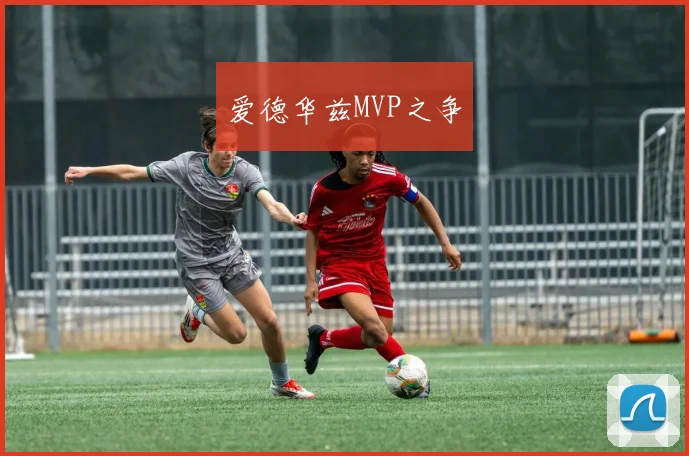 爱德华兹MVP之争