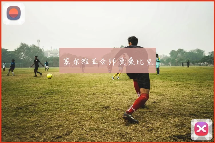 塞尔维亚会师莫桑比克