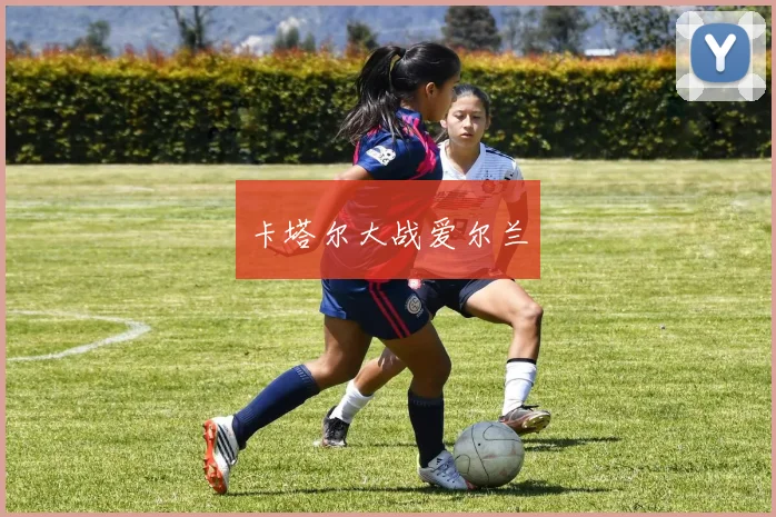 卡塔尔大战爱尔兰