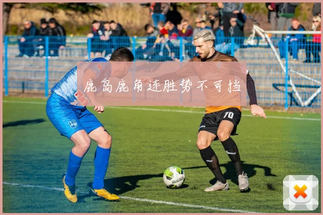 鹿岛鹿角连胜势不可挡