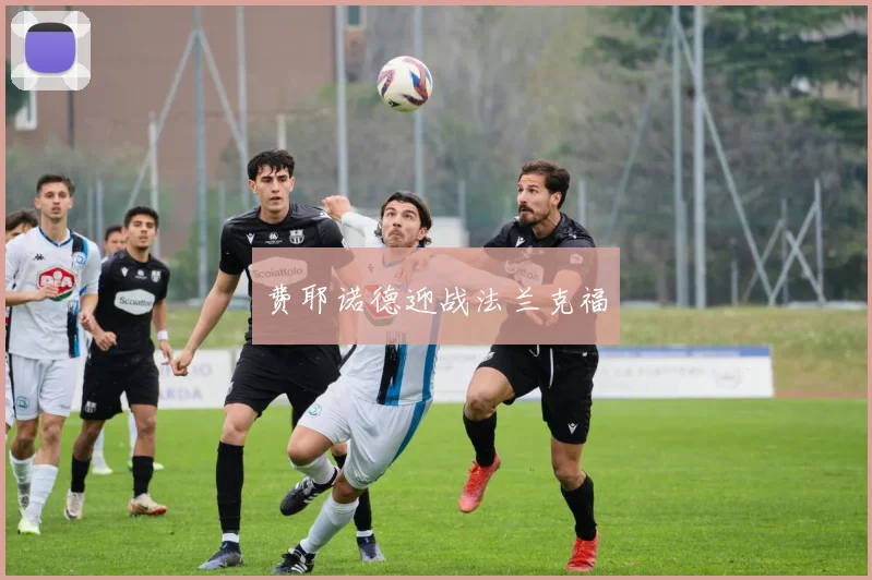 费耶诺德迎战法兰克福