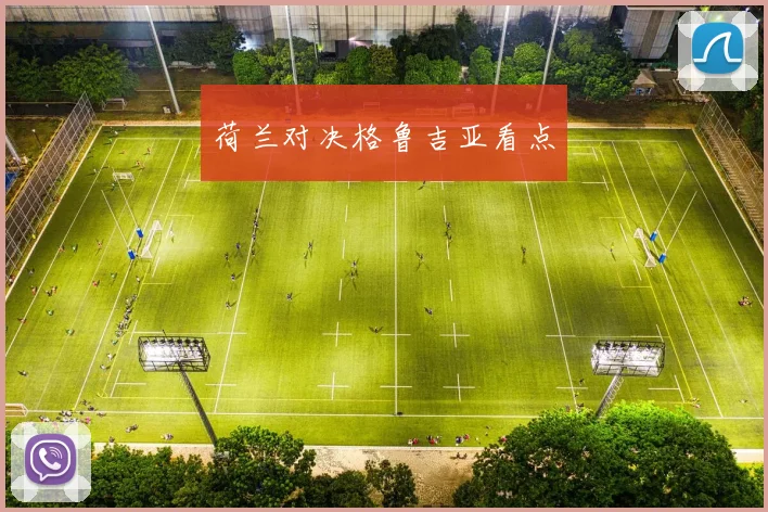 荷兰对决格鲁吉亚看点