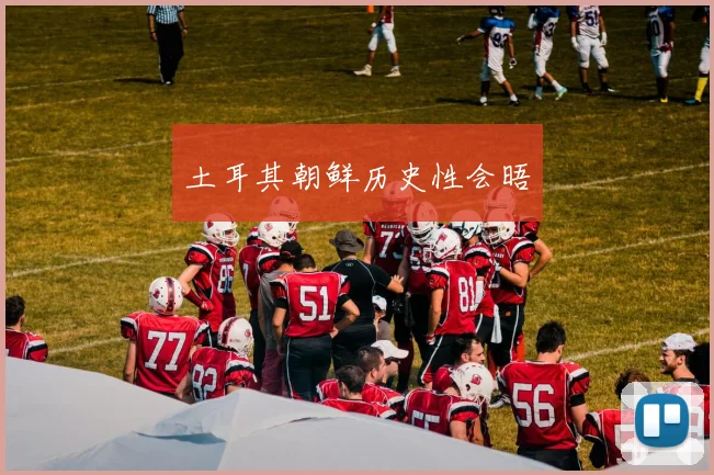 土耳其朝鲜历史性会晤