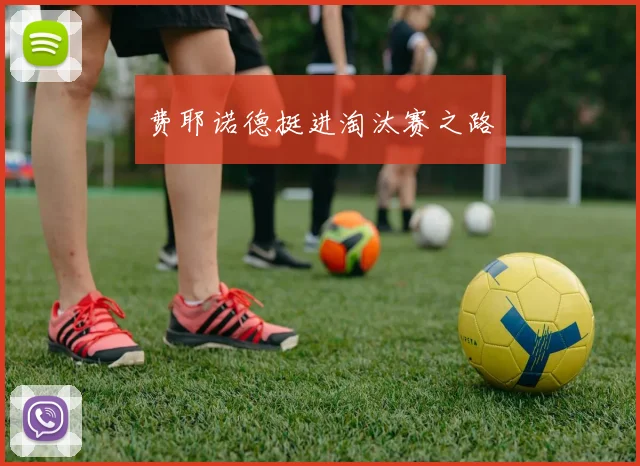 费耶诺德挺进淘汰赛之路
