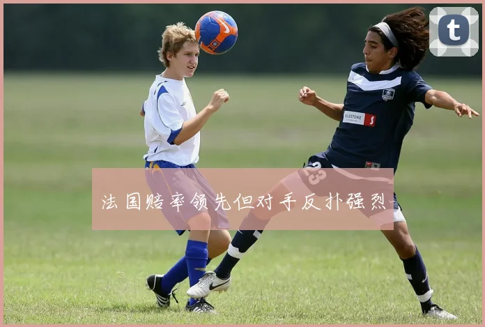 法国赔率领先但对手反扑强烈
