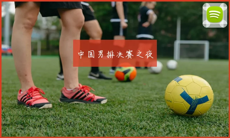 中国男排决赛之夜