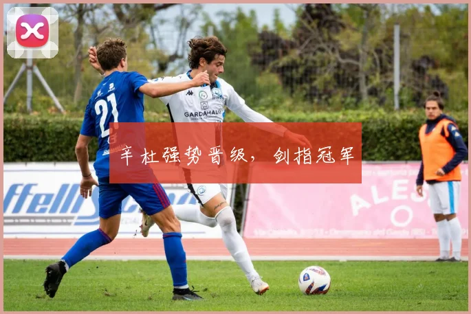 辛杜强势晋级，剑指冠军