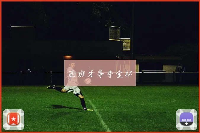 西班牙争夺金杯