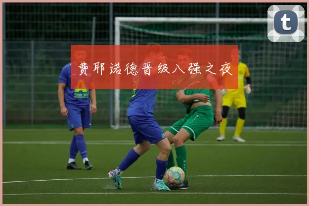 费耶诺德晋级八强之夜