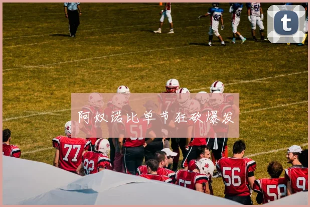 阿奴诺比单节狂砍爆发