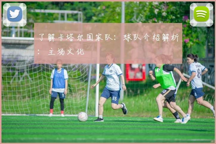 了解卡塔尔国家队：球队介绍解析：主场文化
